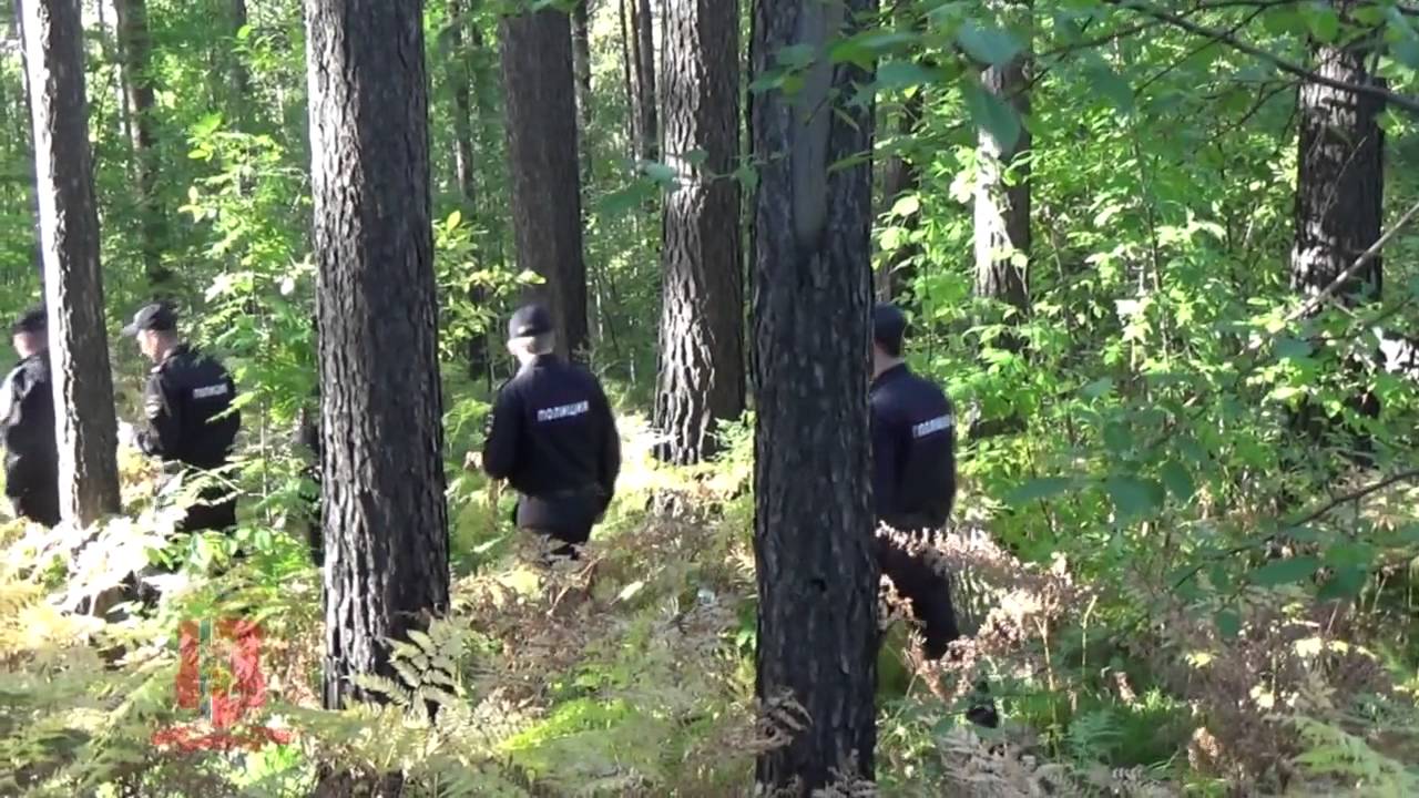 Отвезли в лес и наказали на камеру. Полицейские в лесу. Менты в лесу. ППС В лесу.