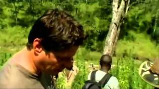 Strain Hunters Africa Expedition 5/6