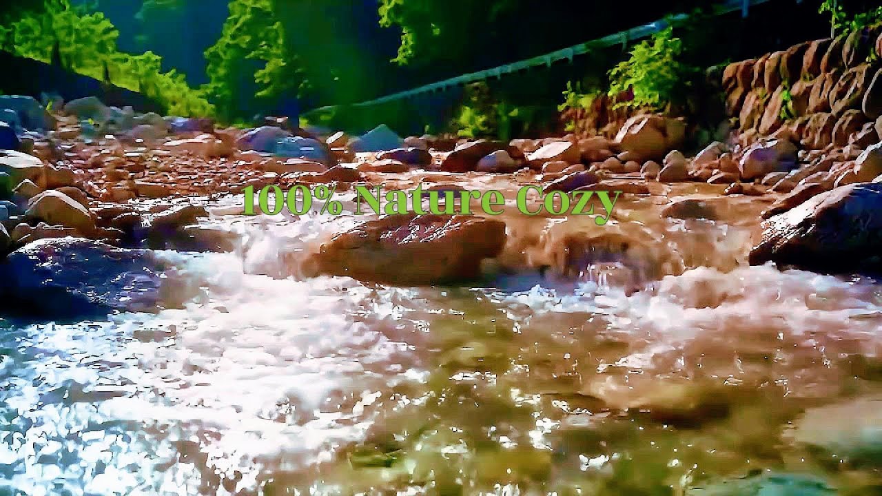 Relaxing Forest River Sounds | Nature Sounds For Sleeping Or Studying ...