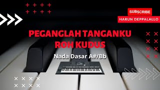 Peganglah Tanganku Roh Kudus (Karaoke Lagu Rohani) Cover musik by Harun Deppalallo