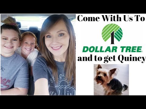 come-with-me-to-dollar-tree-and-to-pick-up-quincy!-(june-1,-2019)