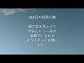 365日の紙飛行機