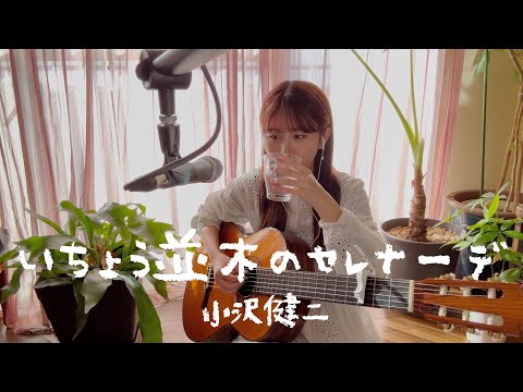 小沢健二　いちょう並木のセレナーデ　扇子 扇子｢いちょう並木のセレナーデ｣（紺×グレー×白竹） : 小沢健二