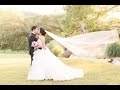 Damaris + Joe | Our Wedding Day!