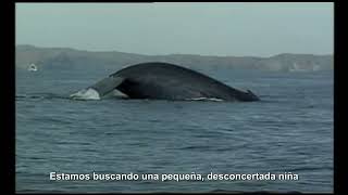 A-ha - We&#39;re Looking For The Whales (Subtitulado)