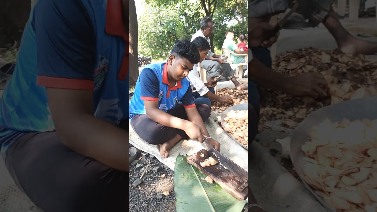 વાધ બારસની શુભેચ્છાઓ🌿#adivasi #culture #vaghbaras #tribalculture #viralvideo
