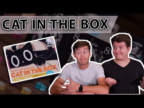 Cat in the Box | Is it a PARADOX? | Board Game Overview and Review (Episode #72)