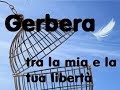 Gerbera - Tra la mia e la tua libertà