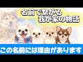 【名前は愛のバトン】名前に込めた家族の物語