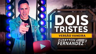 Evertton Fernandez - Dois tristes ( Vaneira / Maxixe )