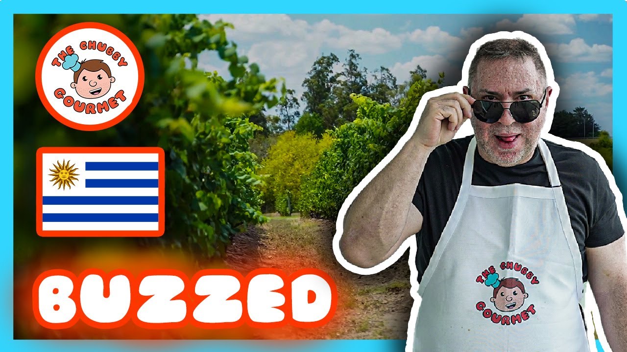A Day at the Bodega Bouza Winery In Uruguay | The Chubby Gourmet