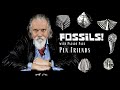 Fossils! with Palaeo Paul - Pen Friends (ep5)