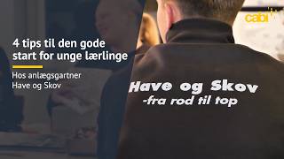 4 tips til den gode start for unge lærlinge - hos anlægsgartner Have og Skov.