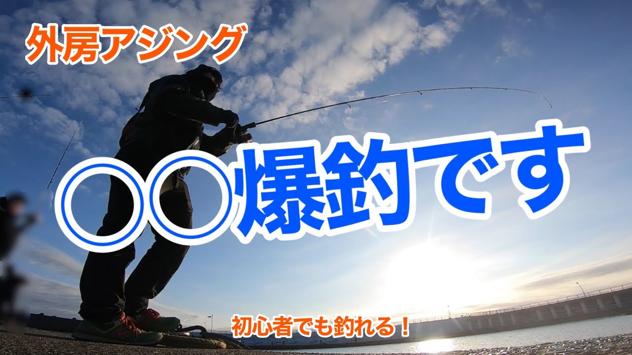 外房アジング 魚がいれば初心者でも簡単に釣れます 釣り動画