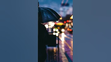 Thumbnail of Watching the Rain #music #lofimu #song #newmusic #lofi #sad