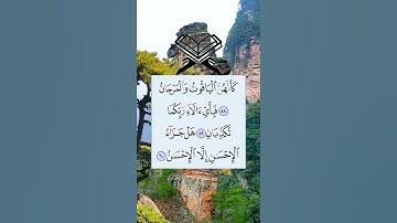 " كأنهن الياقوت والمرجان " بصوت القارئ _ الشيخ ياسر الدوسري