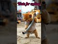 @shimantaai , cat Gole is love ❤️ #short#reel#ai#femous_video #viralvideo #cute #help April 2, 2025