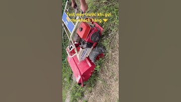 Ace nào cần máy cắt cỏ trục băm LHZALO 0976620144,0919204335