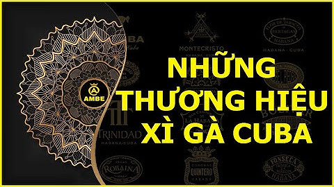 Những thương hiệu x.ì g.à cuba cao cấp | Ambe.vn