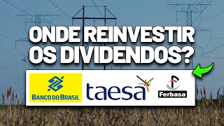 POSSO REINVESTIR NA PRÓPRIA EMPRESA OU EM OUTRA? ONDE REINVESTIR OS DIVIDENDOS?