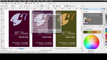 CorelDRAW Graphics Suite X6 - Working with Color Styles
