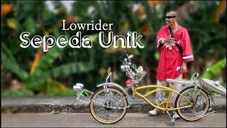 Unique "Lowrider" Bike