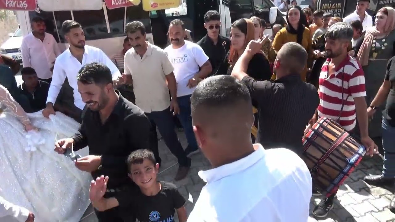 ömer çolakoğlu aşiret düğünü 6