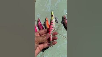 Tôm da Quang lưới