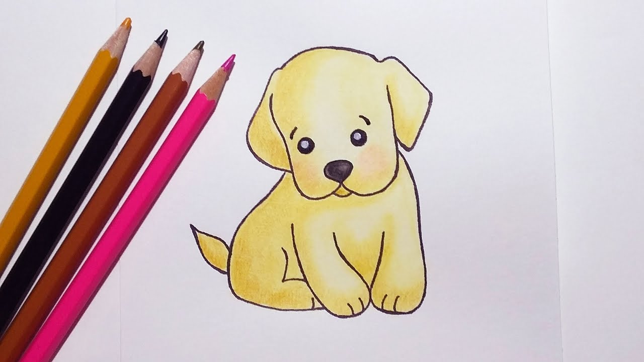 47 best ideas for coloring | A Puppy Drawing