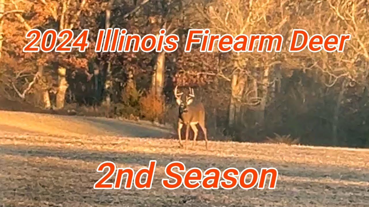 2-й сезон 2024 года, Иллинойс, огнестрельное оружие, олень