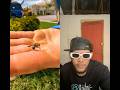 Suscríbete & dale me gusta si no quieres que una abeja te pique 🐝 #dominicana #funny #viral