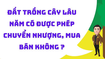 Đất Trồng Cây Lâu Năm Có Được Phép Chuyển Nhượng, Mua Bán Không ǀ Huy DKT #5