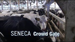 SENECA Moo TIVATOR Crowd Gate