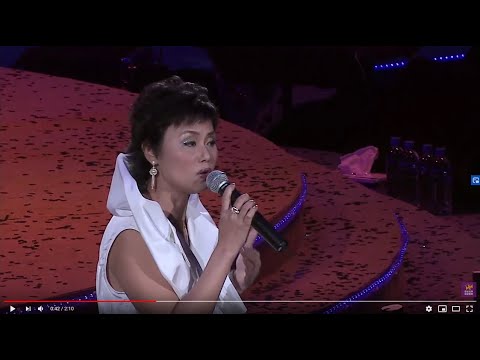袁麗嫦丨流星蝴蝶劍 丨麗的亞視精彩半世紀演唱會丨視聽版丨從未曝光片段