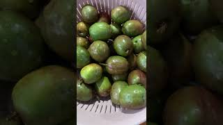 What is this? #shortvideo #food #amazinglifestyle #trending #amazing #native #fruits