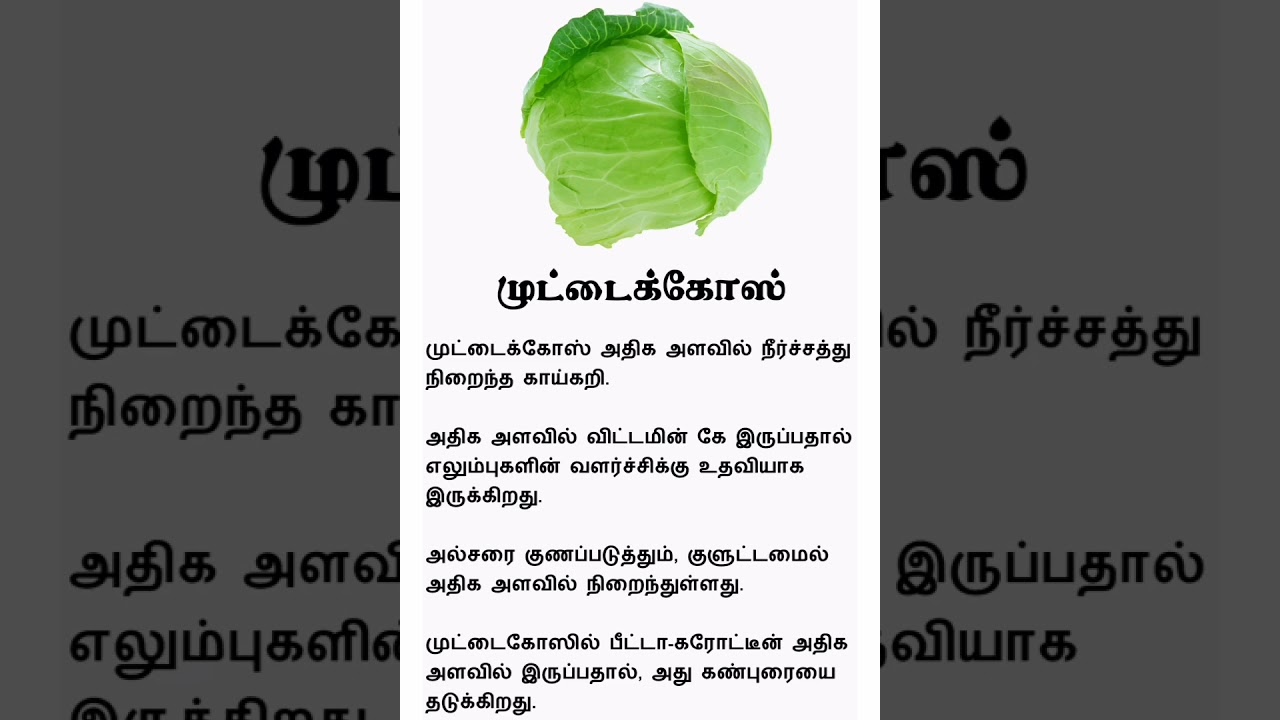 Cabbage Benefits | Tamil Tips | Tamil Health | 