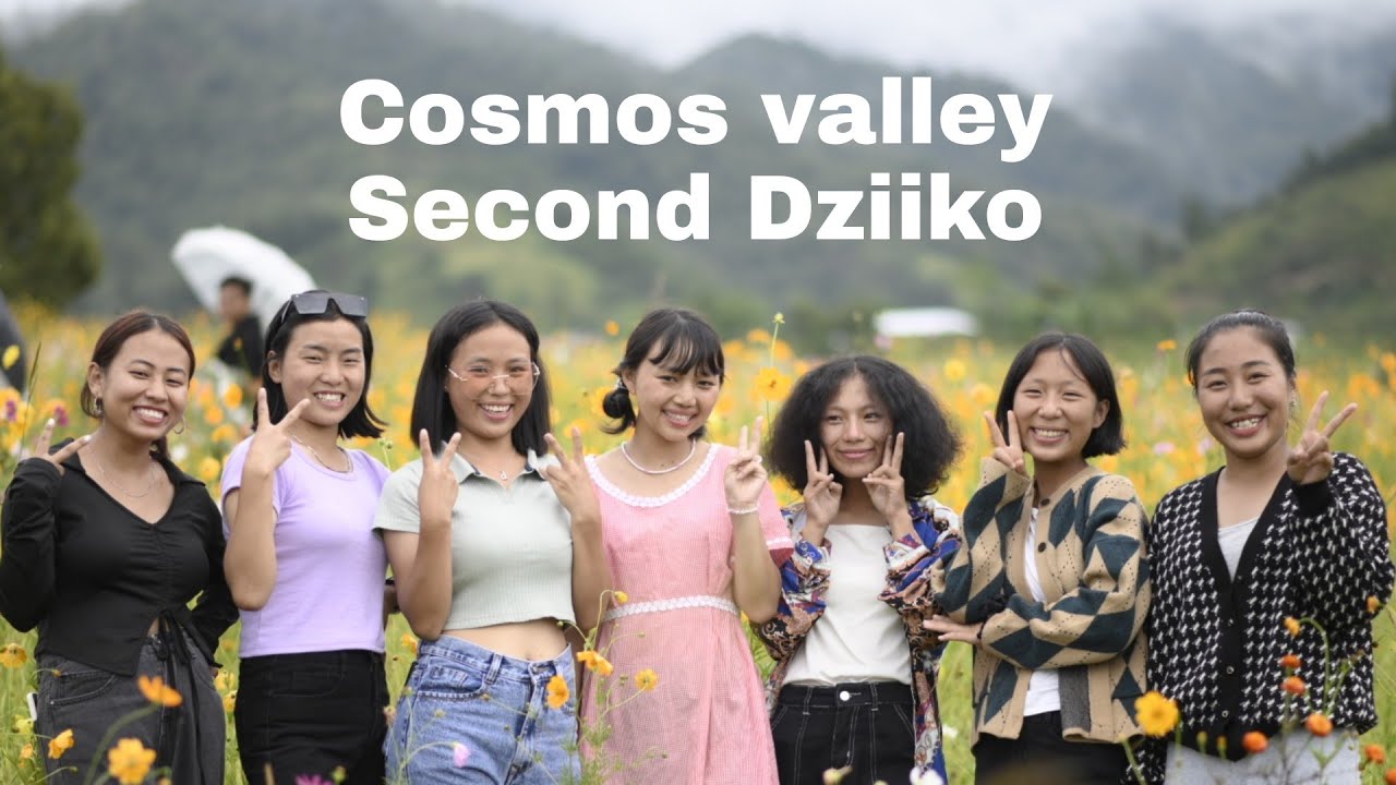 Second Dziiko || Cosmos 