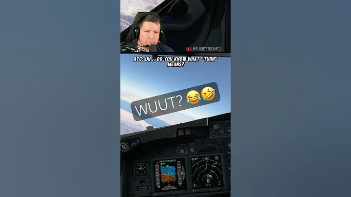 Hilarious Moment On Vatsim #Shorts