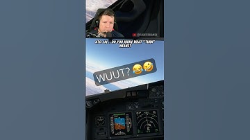 Hilarious Moment On Vatsim #Shorts