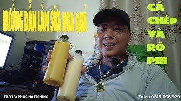 HƯỚNG DẪN LÀM SỮA HOA QUẢ ĐÁNH CHÉP , RÔ PHI , TRẮM CỎ , AN TOÀN VÀ DỄ SỬ DỤNG - PHÚC HÀ FISHING
