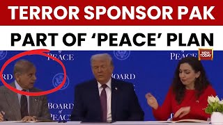 Hypocrisy At Its Peak Terror Sponsor Stan Part Of Trumps Gaza Board Of Peace Plan