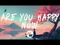 SABAI Linney Are You Happy Now Lyrics 