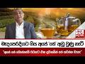 මැදපෙරදිගට ගිය අපේ 'තේ' අඩු වුණු හැටි - ''අපේ තේ බොන්නැති රටකට එක දවසකින් තේ යවන්න බැහැ"| Ada Derana