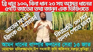 আমন ধানের সেরা ১৩ জাত||আগাম||নাবী||বন্যা খড়াও লবণাক্ততা সহিষ্ণু||সুগন্ধি||জিংক ও আয়রন||চিকন ও মোটা