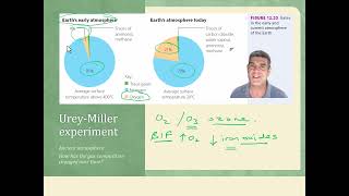 11 Bio Ecosystem Dynamics Gas Analysis