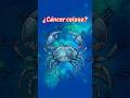 ¿cómo se comporta cáncer cuando está celoso? #horoscopo #signosdelzodiaco #zodiaco #cancer