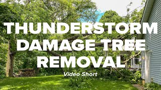 Thunderstorm Damage Tree Removal Short