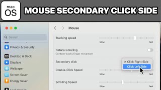 How to Change Mouse Secondary Click Side on Mac (Tutorial)