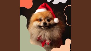 Simplistic Ambiance for Dog Training
