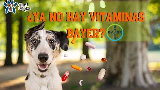 ¿No encuentras equilibrium de Bayer